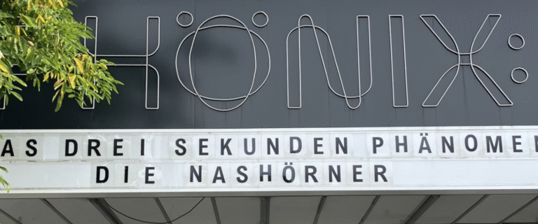 Die Nashörner kommen!